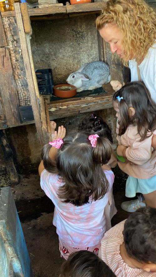 Quintinha pedagógica